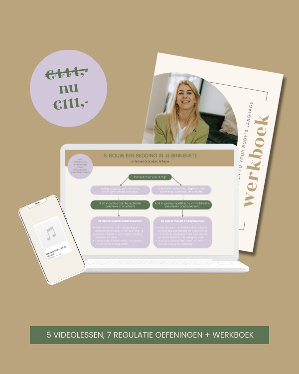 Mock-up workshop zenuwstelsel